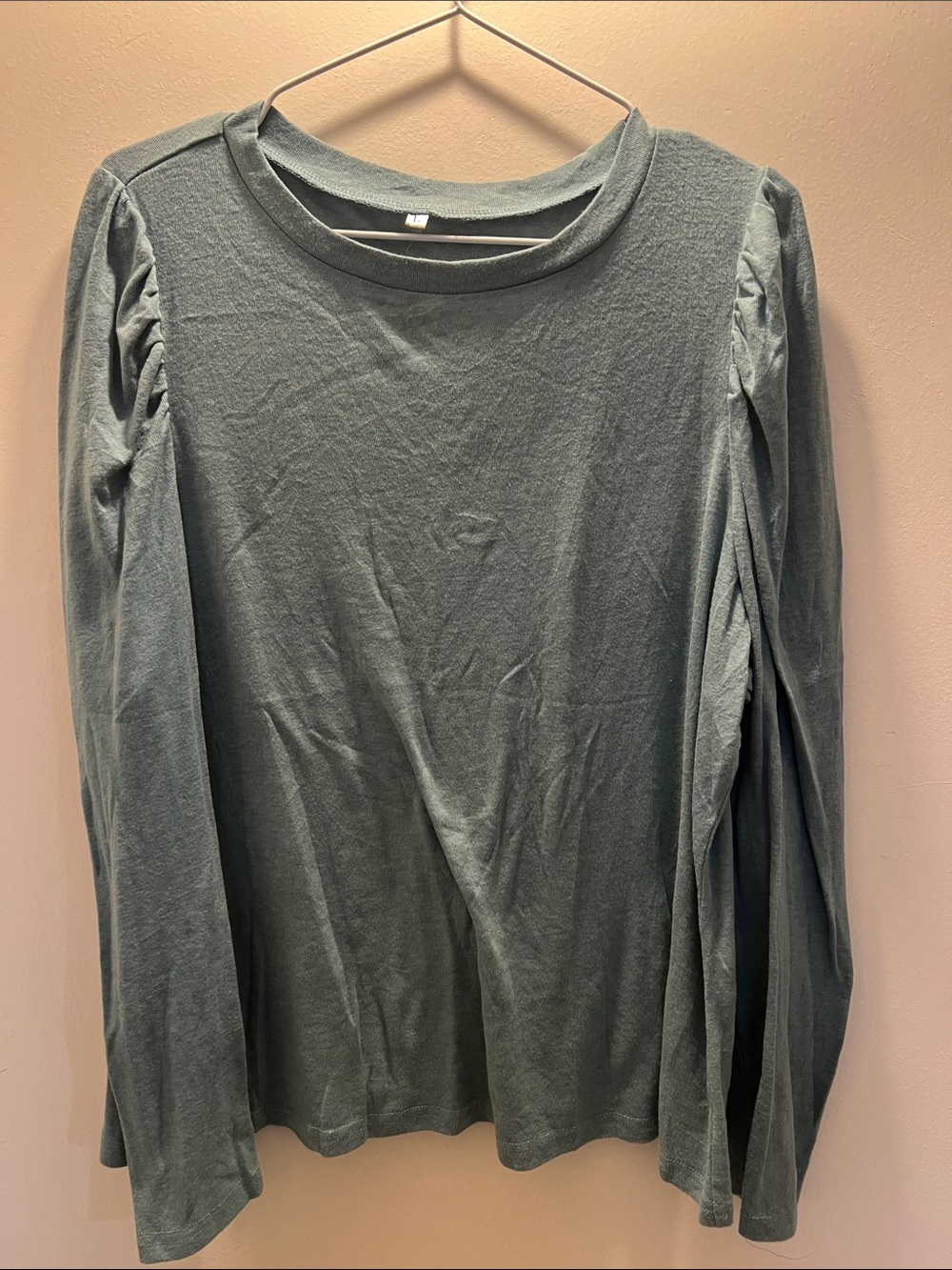 Women’s Long Sleeve Crewneck Top in Sage Green
